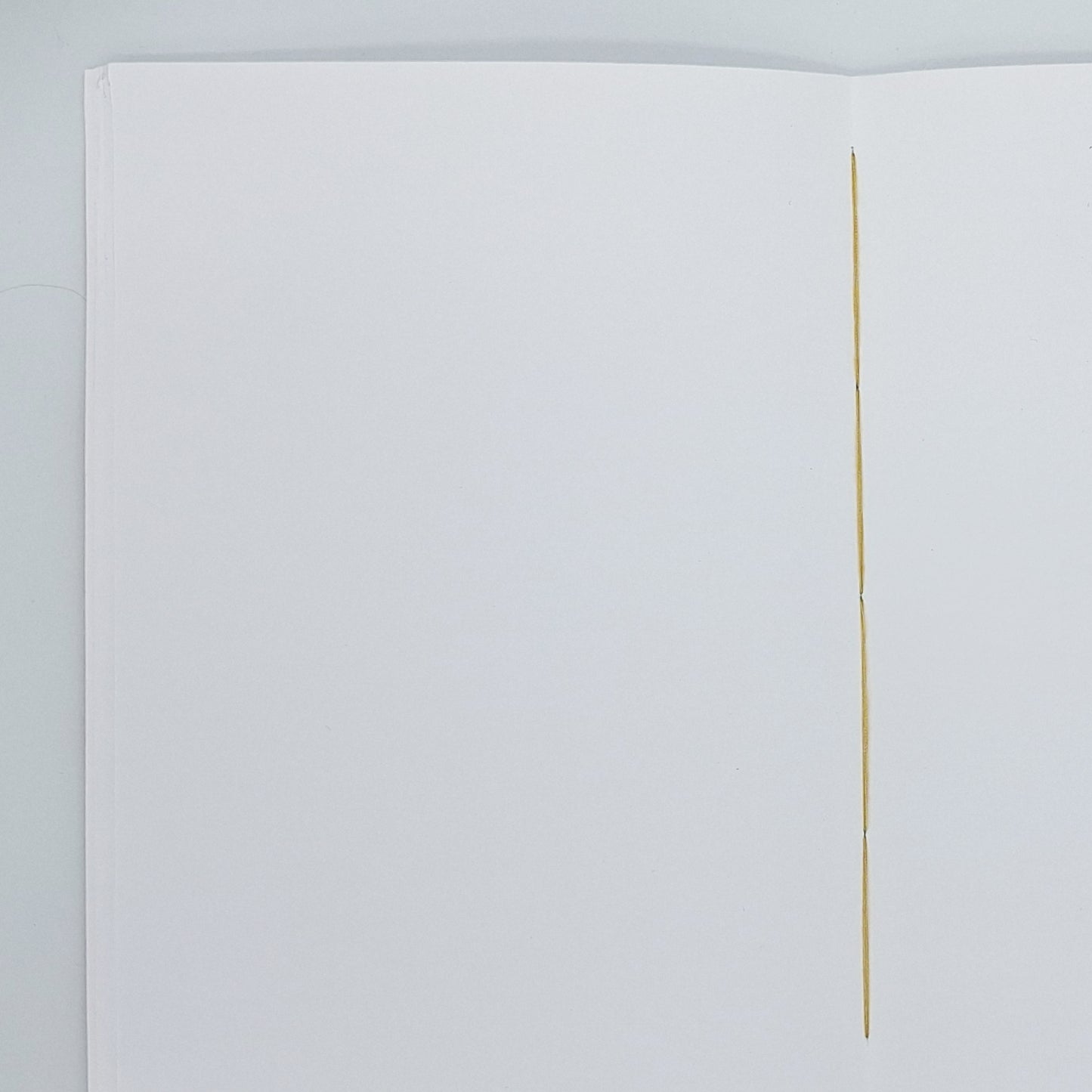 Notizbuch - Blanko - Rot-Gold A