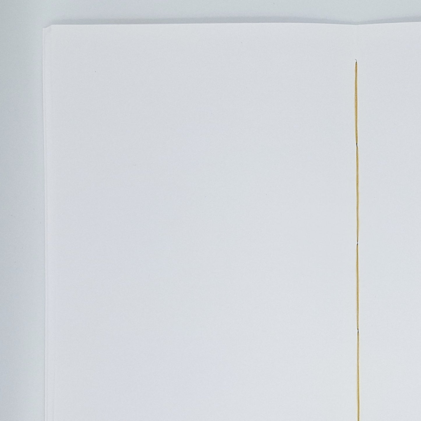 Notizbuch - Blanko - Rot-Gold C